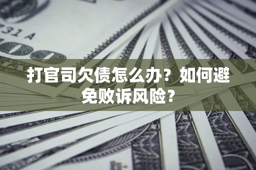 北京打官司欠债怎么办？如何避免败诉风险？