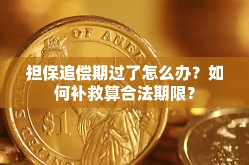北京担保追偿期过了怎么办？如何补救算合法期限？